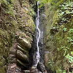 Le Dragon - Accueillant * Malmedy