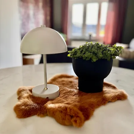 Le Dragon - Accueillant * Malmedy