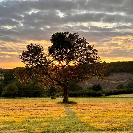 Apartament Le Dragon - Accueillant