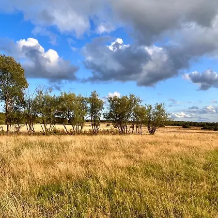 Le Dragon - Accueillant Malmedy