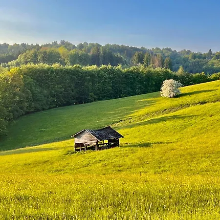 Le Dragon - Accueillant Διαμέρισμα *