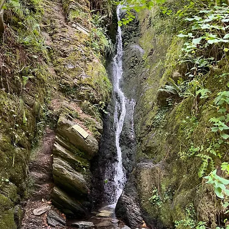 Le Dragon - Accueillant * Malmedy