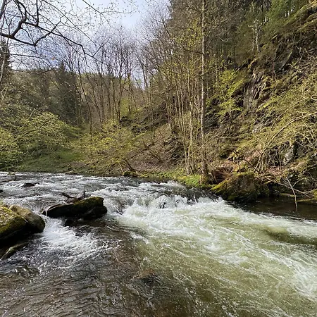 Le Dragon - Accueillant Apartament *