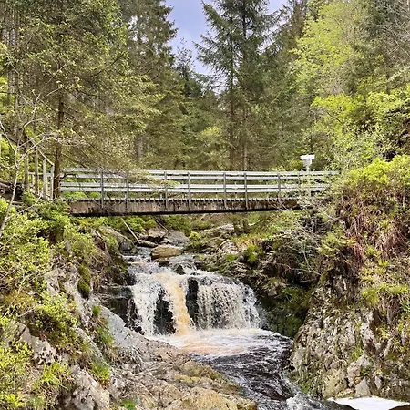 Le Dragon - Accueillant