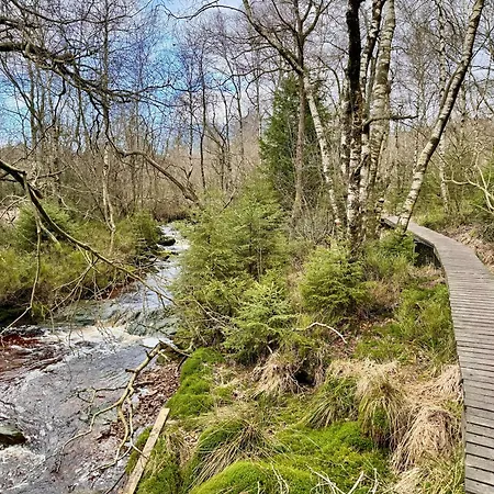 Διαμέρισμα Le Dragon - Accueillant *