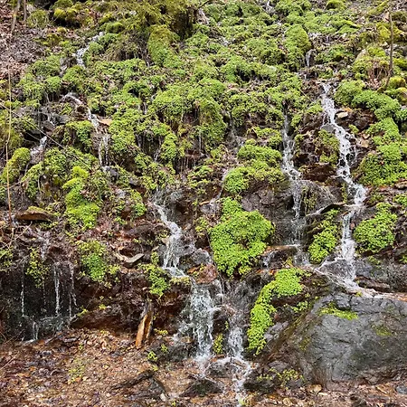 Le Dragon - Accueillant Διαμέρισμα *