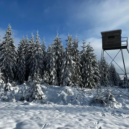 Le Dragon - Accueillant *