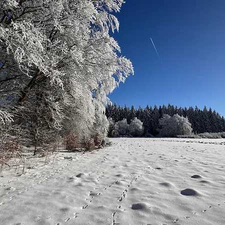 Le Dragon - Accueillant Apartmán