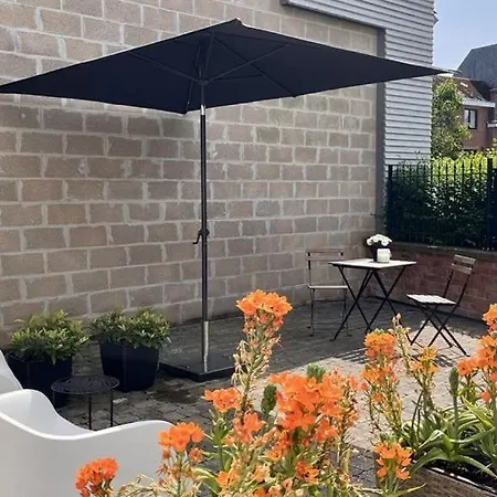 Le Dragon - Accueillant