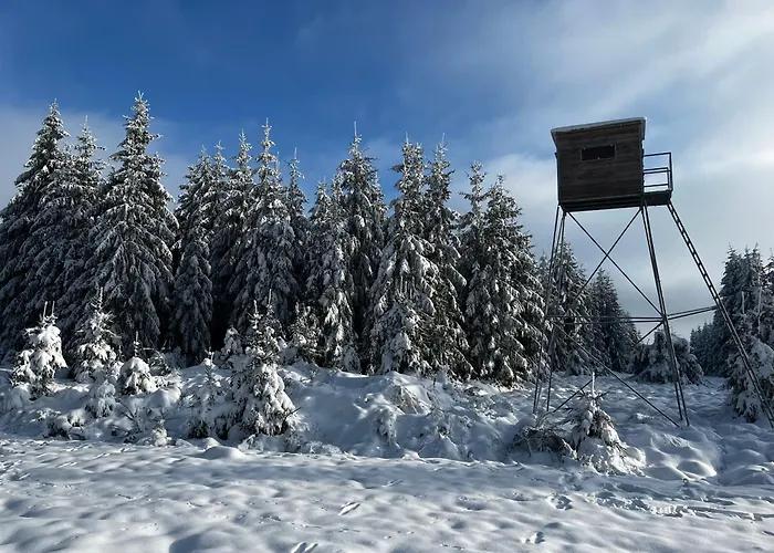 Le Dragon - Accueillant *