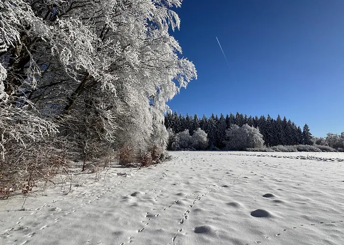 Le Dragon - Accueillant Apartmán