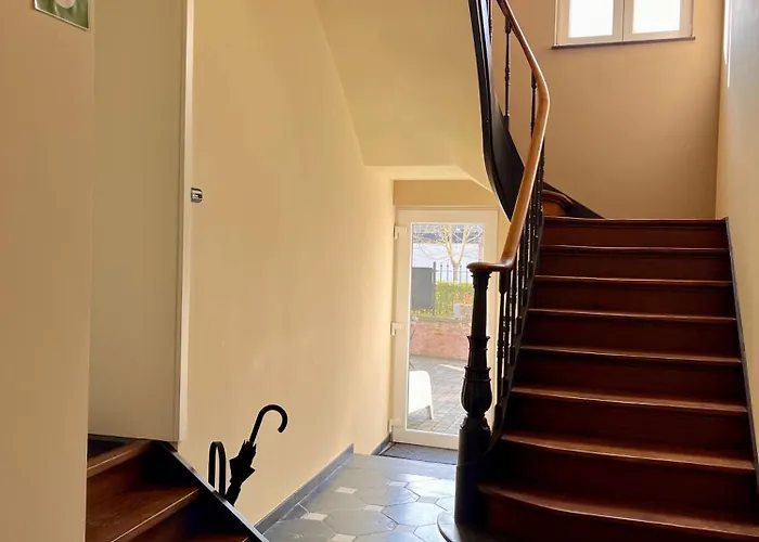 Le Dragon - Accueillant * Malmedy